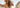 Summer hair care routine for extensions in sun and heat – Rubin Extensions®