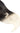 Ombré Fashion Line clip-ins in Chocolate Dark Brown & Platinum Blonde, 45 cm, 100% human hair – Rubin Extensions®