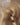 Strand detail of Chestnut Dark Brown tape-in extensions, glossy Remy human hair – Rubin Extensions®